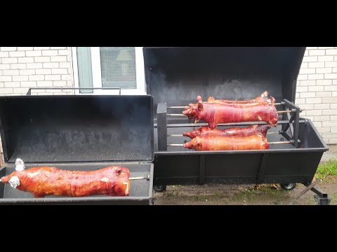 Жареный поросенок на вертеле. Grilēta cūka, cūka uz iesma. Hog Roast pork