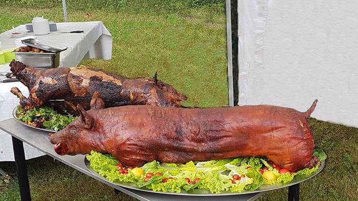 jērs cūka cepeši 45 kg.