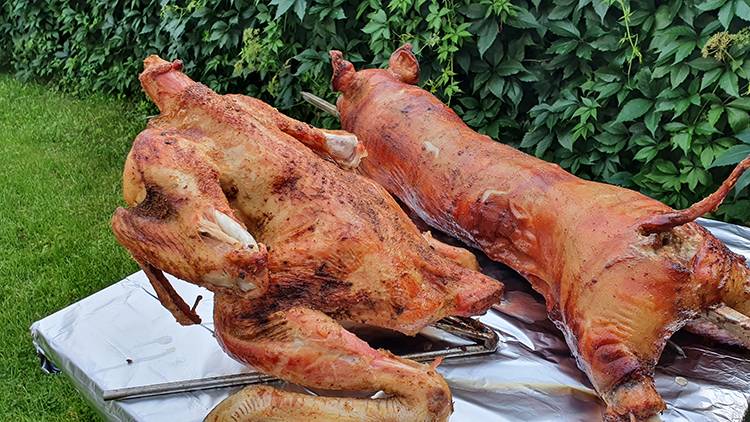 "Sivēna cepetis" "tītara cepetis"